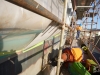 Alucia Survey and General Maintenance work