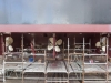 Ship Repair 200417 LR23