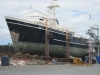 sea-wolf-hauled_1
