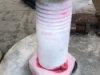 crack-test-shaft-coupling-bolts_2-w650-h488