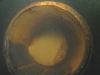 broken-rudde-stock-in-water